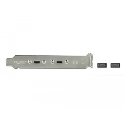 Delock USB 3.1 Gen 2 Slot Bracket with 2 x USB Type-C™ Ports 2
