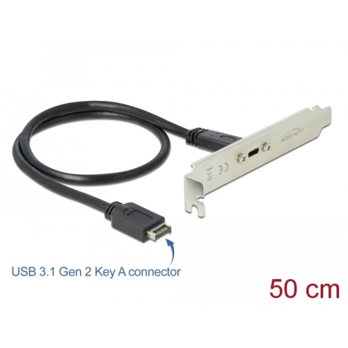 Delock USB 3.1 Gen 2 Slot Bracket with 1 x USB Type-C™ Port