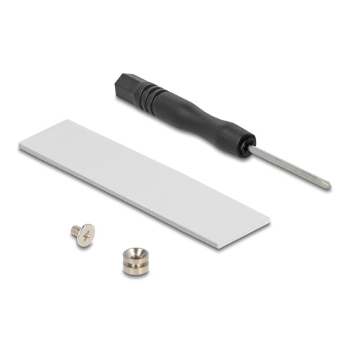 Delock PCI Express x4 Card to 1 x internal NVMe M.2 Key M 80 mm - Low Profile Form Factor