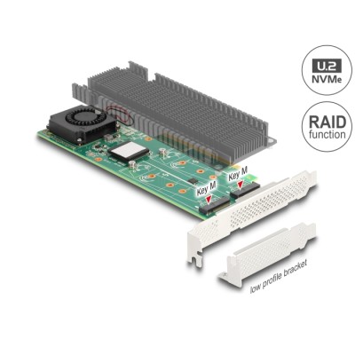 Delock PCI Express x8 Card to 2 x internal NVMe M.2 Key M with RAID - Low Profile Form Factor