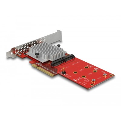 Delock PCI Express x8 Card to 2 x internal NVMe M.2 Key M - Low Profile Form Factor 2