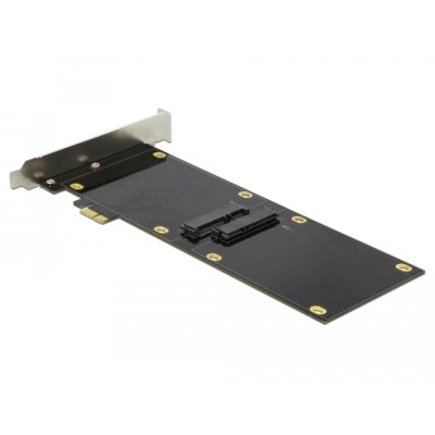Delock PCI Express x1 Card for 2 x SATA HDD / SSD 2