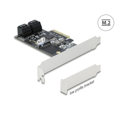 Delock 4 port SATA and 1 slot M.2 Key B PCI Express x4 Card - Low Profile Form Factor