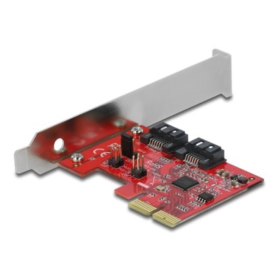 Delock 2 port SATA PCI Express Card with RAID 1 - mirroring existing data 2