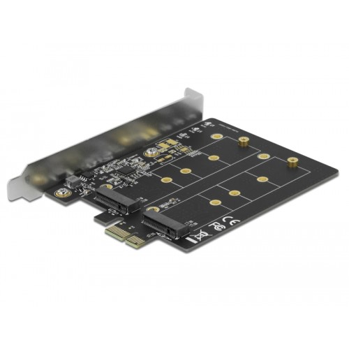 Delock PCI Express x1 Card to 2 x internal M.2 Key B