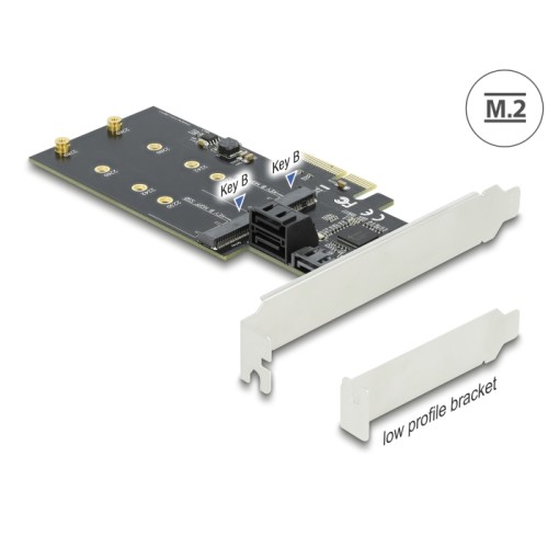 Delock 3 port SATA and 2 slot M.2 Key B PCI Express x4 Card - Low Profile Form Factor