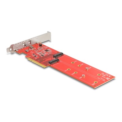 Delock PCI Express x8 Card to 2 x internal NVMe M.2 Key M 110 mm - Bifurcation - Low Profile Form Factor 2