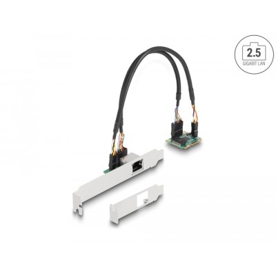 Delock Mini PCIe I/O PCIe half size 1 x RJ45 2.5 Gigabit LAN