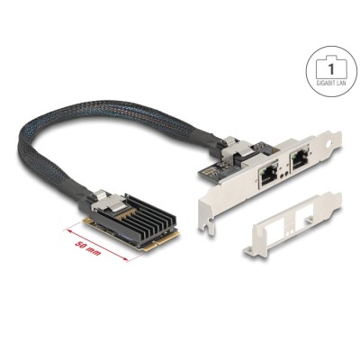 Delock Mini PCIe I/O PCIe full size 2 x RJ45 Gigabit LAN