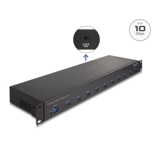 Delock 19″ Industry Hub 10 x USB 10 Gbps Type-A