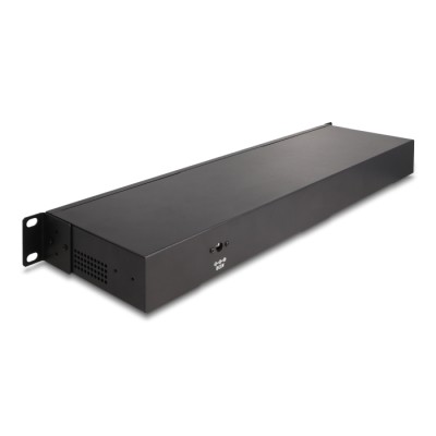 Delock 19″ Industry Hub 10 x USB 10 Gbps Type-A 2