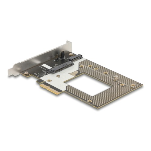 Delock PCI Express 4.0 x4 Card to 1 x NVMe M.2 Key M 110 mm or U.2 Slot