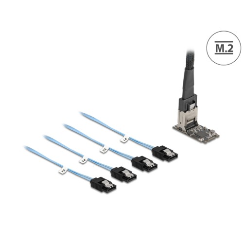 Delock M.2 2242 Key B+M Controller to 4 x SATA with 1 m cable