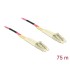 Delock Cable Optical Fibre LC Duplex Multi-mode OM4 75 m