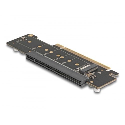 Delock PCI Express 4.0 x16 Riser Card with 2 x M.2 Key M NVMe slot - bifurcation
