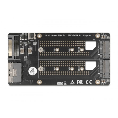 Delock SFF-8654 8i to 2 x M.2 Key M NVMe SSD Converter