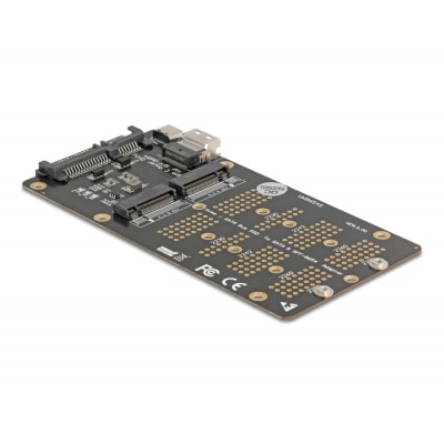 Delock Converter M.2 Key M NVMe SSD to SFF-8654 and M.2 Key B SATA SSD to SATA 2