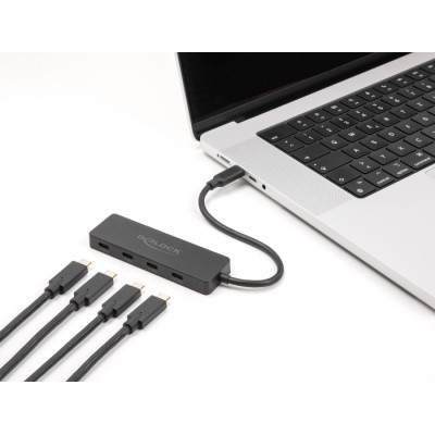 Delock USB 10 Gbps USB Type-C™ Hub with 4 x USB Type-C™ female black 2