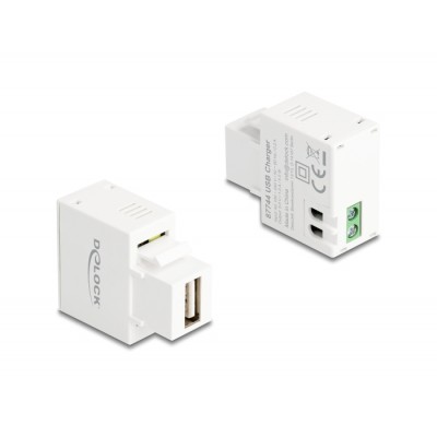 Delock Keystone Module USB Type-A Charging Port 5 W white