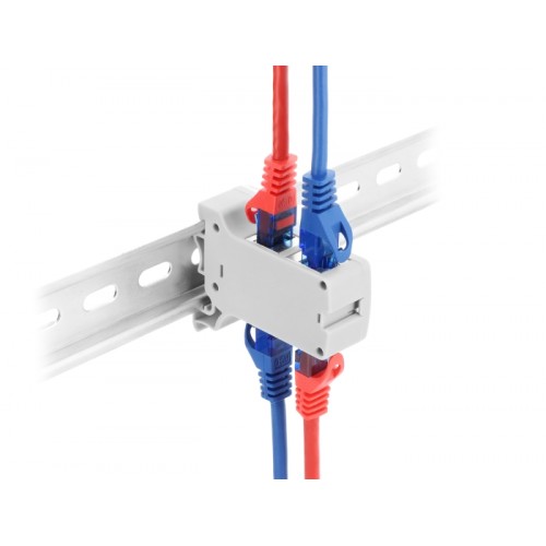 Delock RJ45 Coupler Cat.6A Dual jack to jack for DIN rail mounting grey