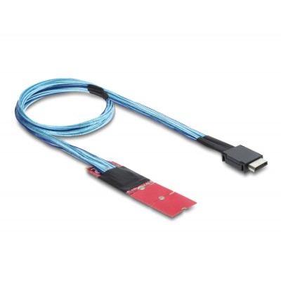 Delock M.2 Key M to 1 x OCuLink SFF-8611 Converter with 45 cm cable 2
