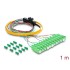 Delock Fibre Optic Pigtail Fanout Cable 12 x SC-APC Simplex male to 12 x open cable ends 1 m