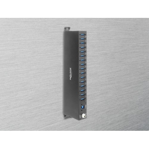Delock Industry Hub 16 x USB 5 Gbps Type-A with 8 kV ESD protection and DIN rail mounting