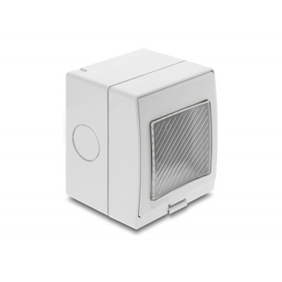 Delock Easy 45 Surface-mounted Housing IP55 waterproof 2 Port