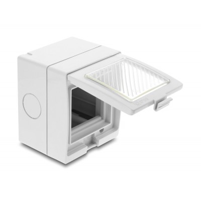 Delock Easy 45 Surface-mounted Housing IP55 waterproof 2 Port 2