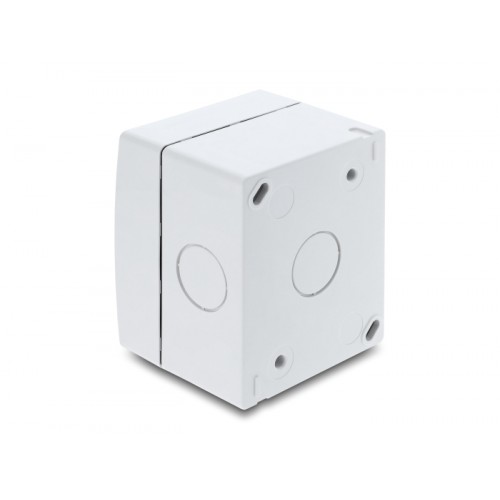 Delock Easy 45 Surface-mounted Housing IP55 waterproof 2 Port