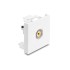Delock Easy 45 Module RCA female to RCA female yellow / white