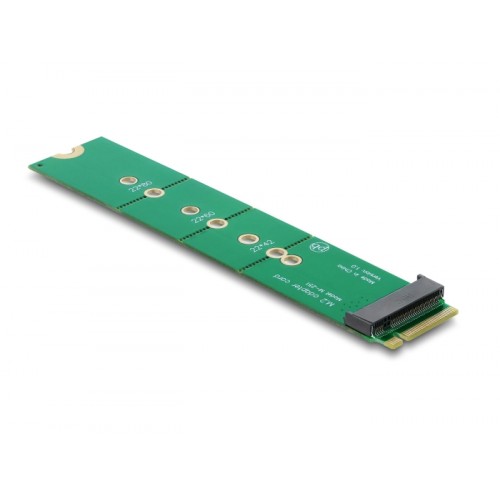 Delock Adapter M.2 Key M male to M.2 Key M slot - port saver and extension
