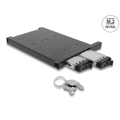 Delock Mobile Rack for 2 x M.2 NMVe SSD with SFF-8654 connector for 12.7 mm Slim ODD Bay
