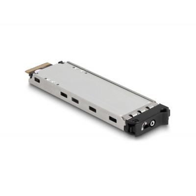 Delock Mobile Rack for 2 x M.2 NMVe SSD with SFF-8654 connector for 12.7 mm Slim ODD Bay 2