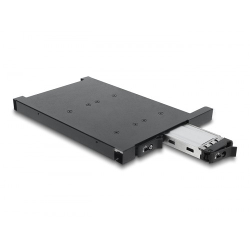 Delock Mobile Rack for 2 x M.2 NMVe SSD with SFF-8654 connector for 12.7 mm Slim ODD Bay