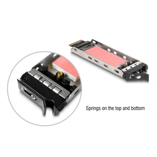 Delock Mobile Rack for 2 x M.2 NMVe SSD with SFF-8654 connector for 12.7 mm Slim ODD Bay