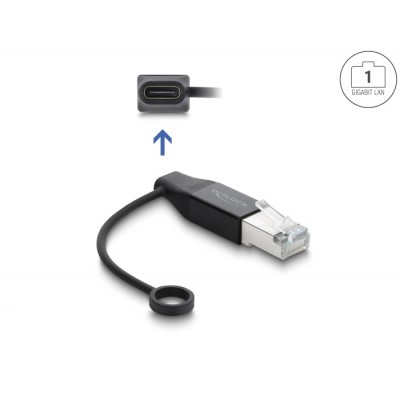 Delock USB Type-C™ Network Adapter Gigabit LAN 1 x RJ45 plug