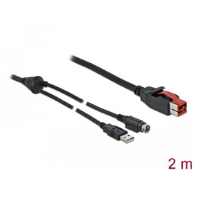 Delock PoweredUSB cable male 24 V to USB Type-A male + Mini-DIN 3 pin male 2 m for POS printers and terminals