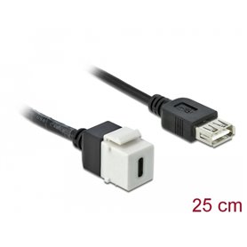 Delock Keystone Module USB 2.0 C female > USB 2.0 A female with cable