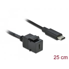 Delock Keystone Module USB 3.0 C female > USB 3.0 C male with cable
