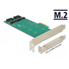 Delock PCI Express Card > 2 x internal M.2 Key B 110 mm - Low Profile Form Factor