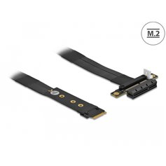 Delock M.2 Key M to PCIe x4 NVMe Adapter with 20 cm cable