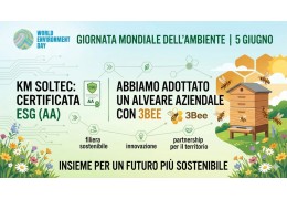 Certificazione ESG e Alveare Aziendale: l'impegno concreto di KM Soltec per la sostenibilità